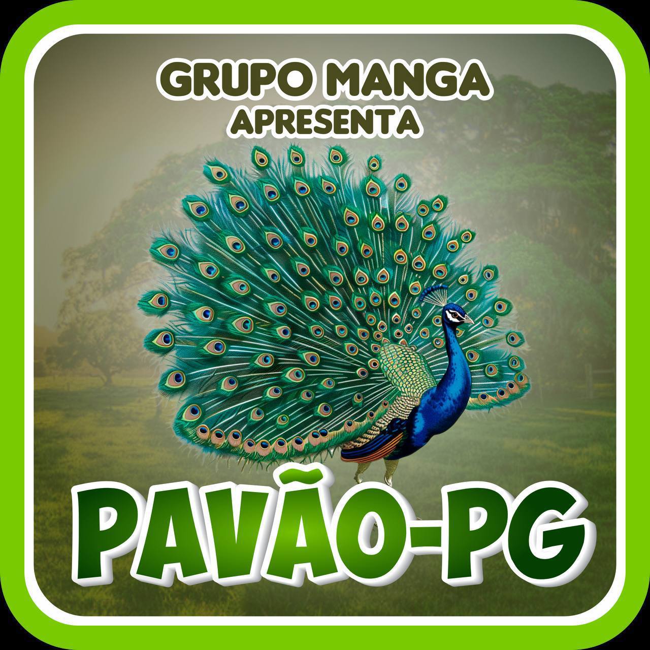 Plataforma 5